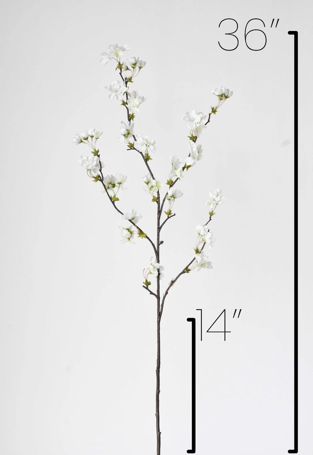 36" Faux Quince Blossom Cream / White Stem Flowering Branch
