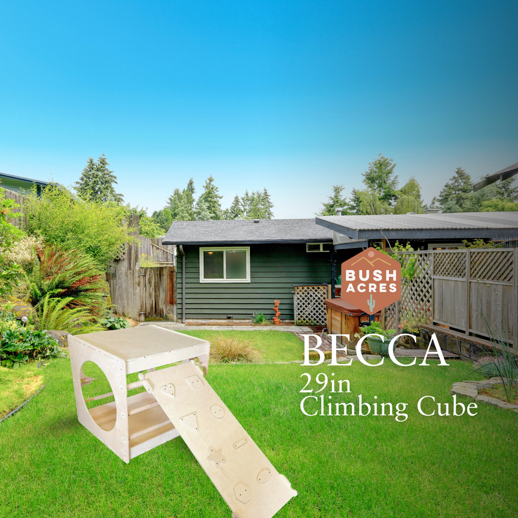 BECCA – 29in Climbing Cube