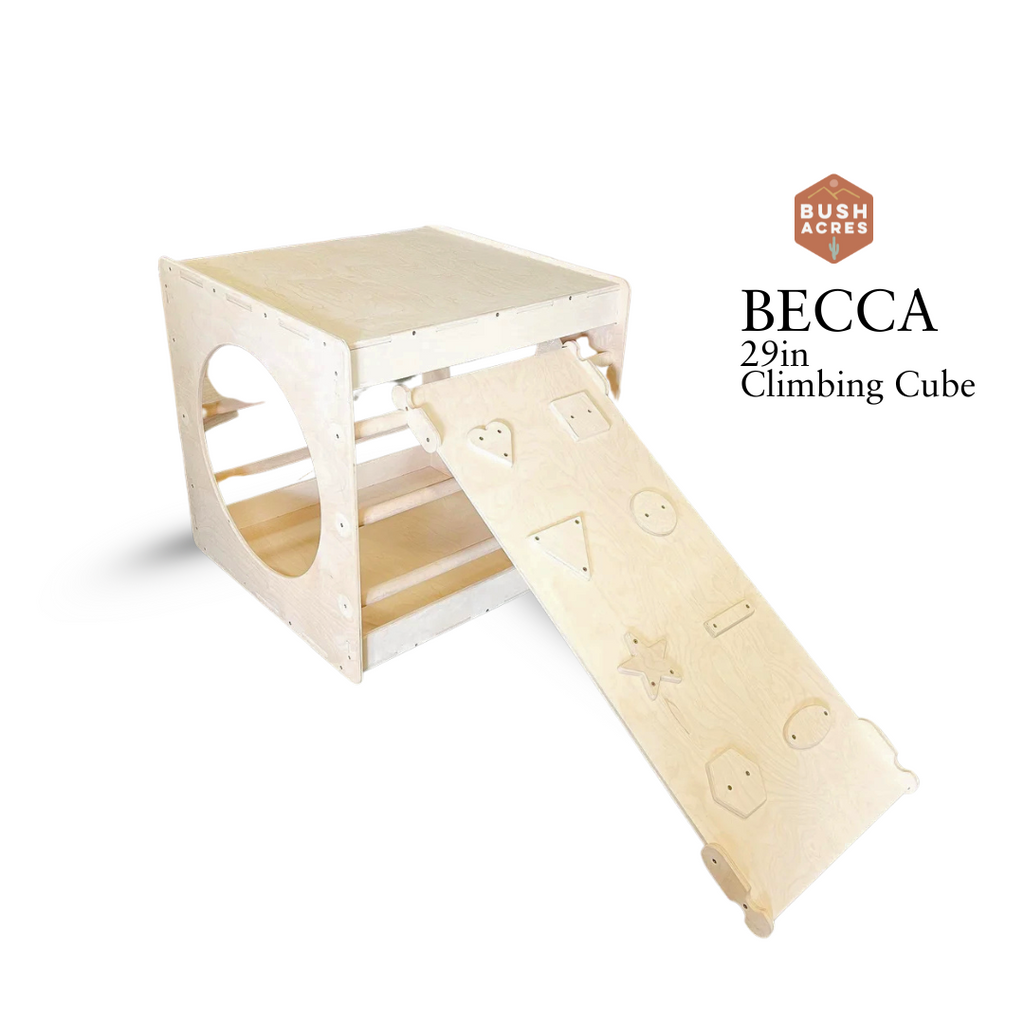 BECCA – 29in Climbing Cube