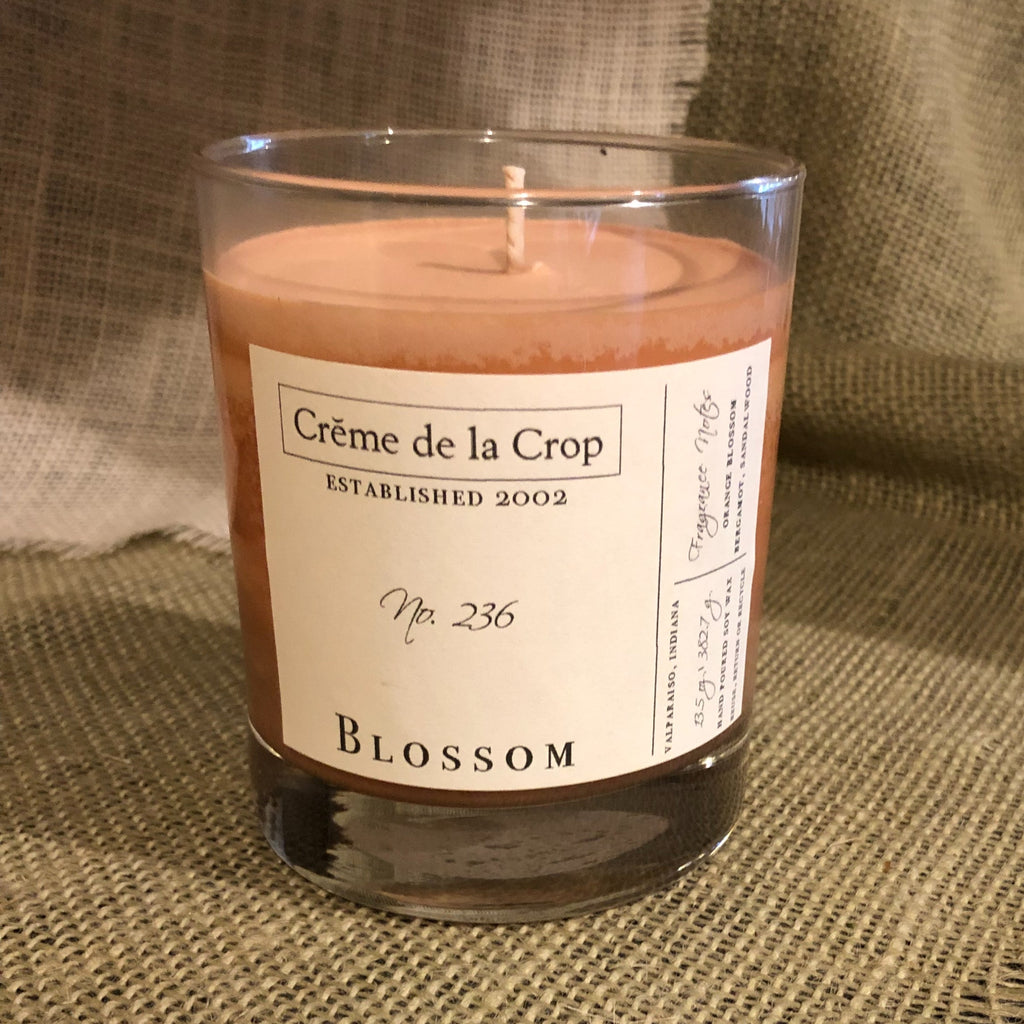 Soy Candle – Blossom (Orange Blossom)
