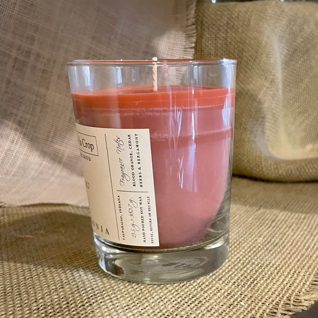 Soy Candle – Palagonia (Blood Orange)