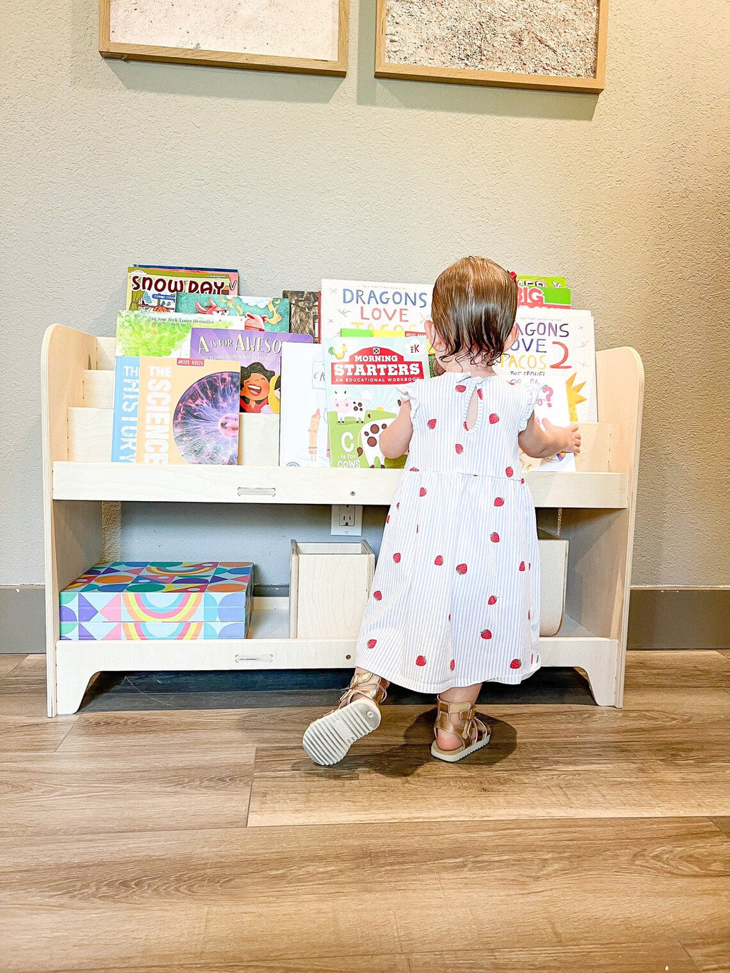 FRANK – Toy Shelf