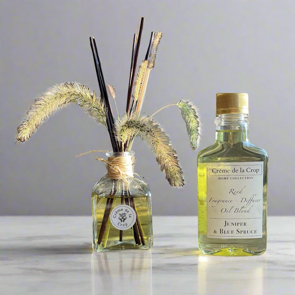 Reed Fragrance – Diffuser, Starter Kit – Juniper & Blue Spruce