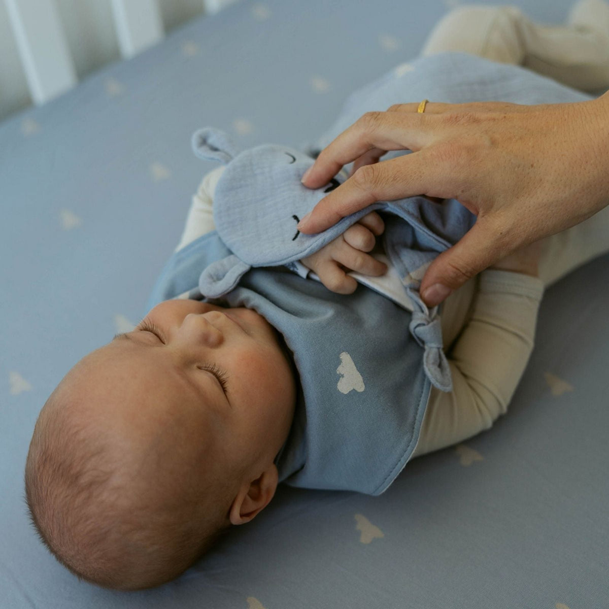 100% Muslin Lovey – Windy