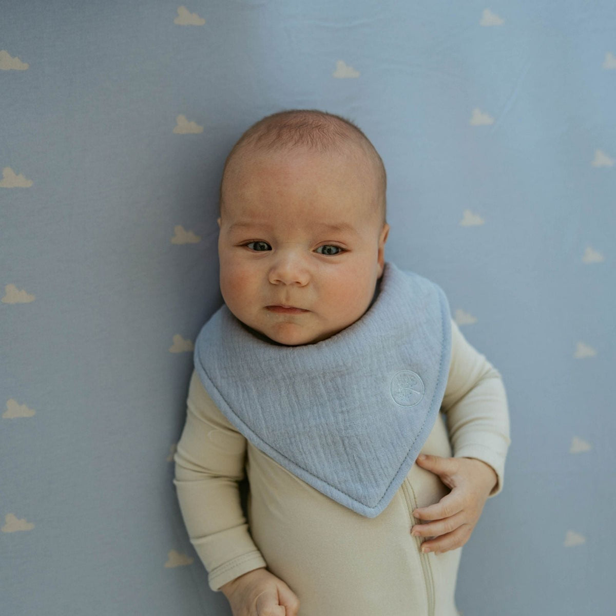 Stormy Muslin Bandana Bibs Set (4 – Pack)