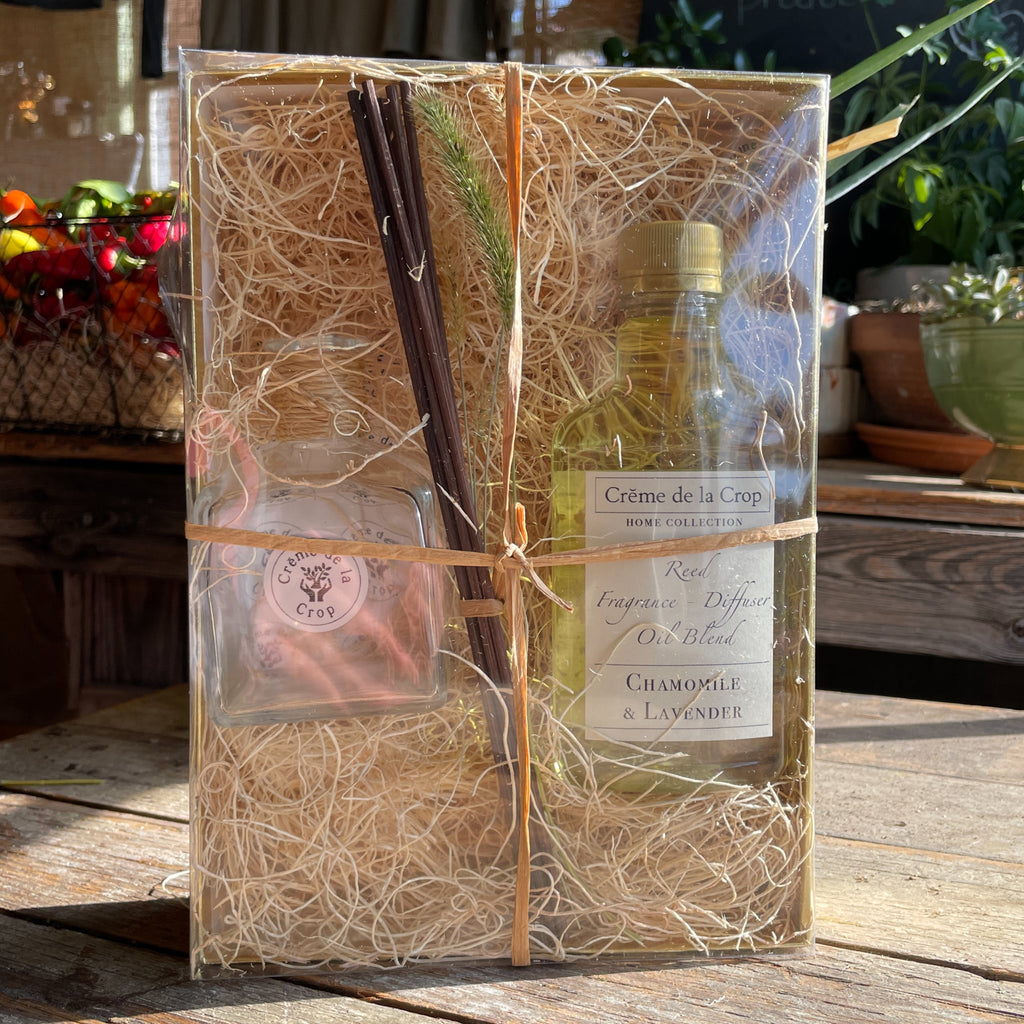 Reed Fragrance – Diffuser, Starter Kit – Juniper & Blue Spruce