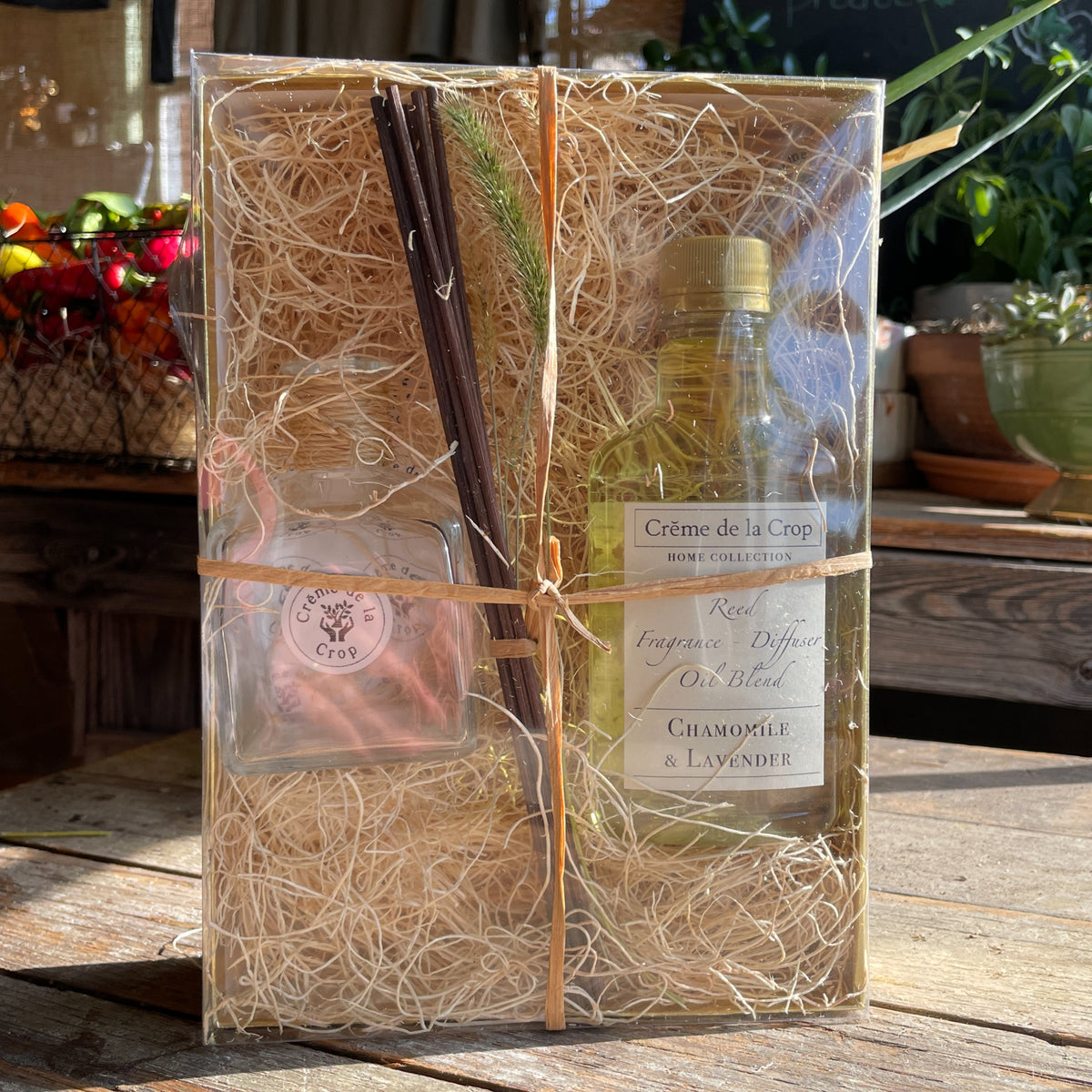 Reed Fragrance – Diffuser, Starter Kit – Juniper & Blue Spruce