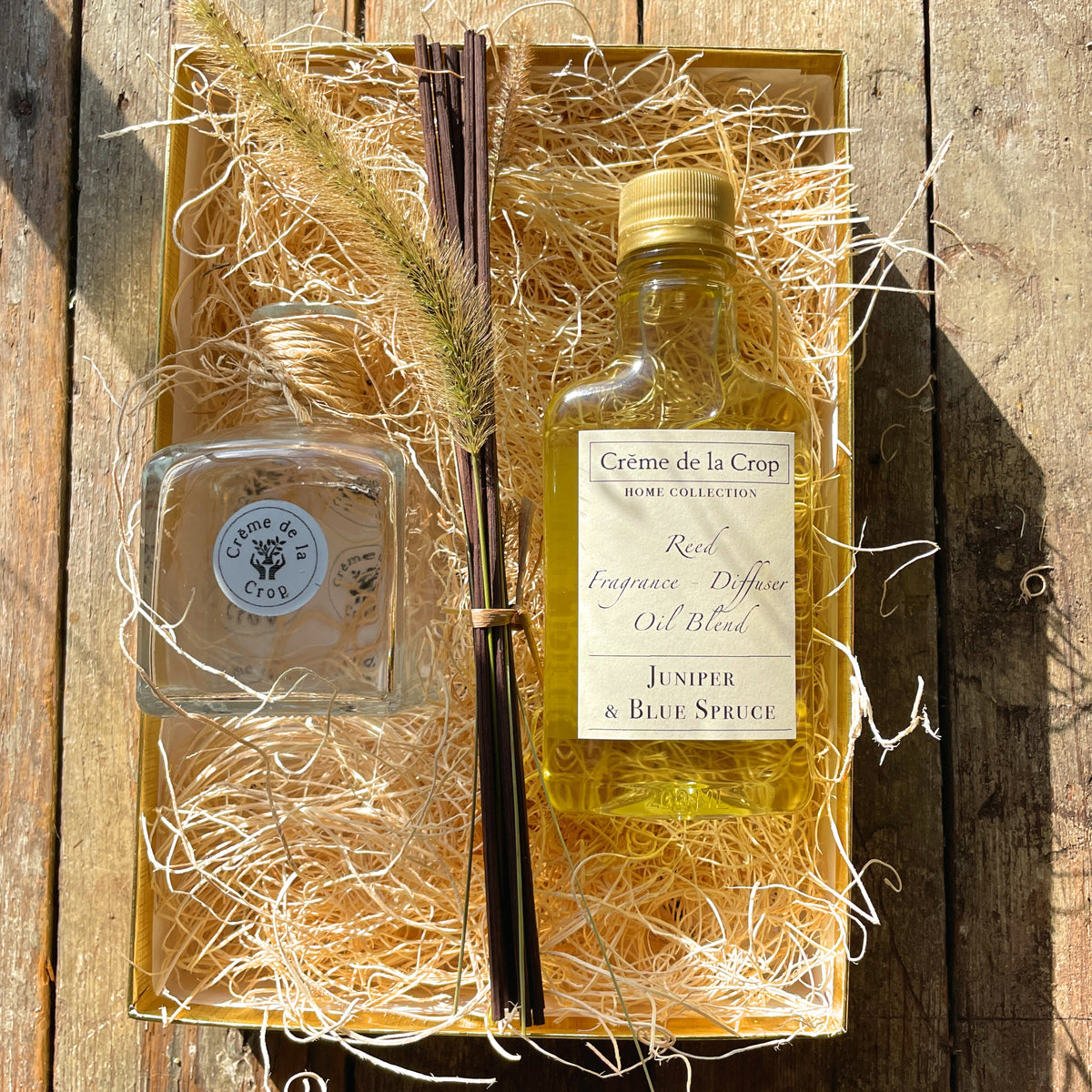 Reed Fragrance – Diffuser, Starter Kit – Juniper & Blue Spruce